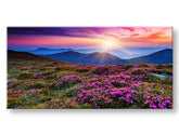 PANORAMA Τοπιογραφία τοίχου Έκπτωση 60% 50X100 cm